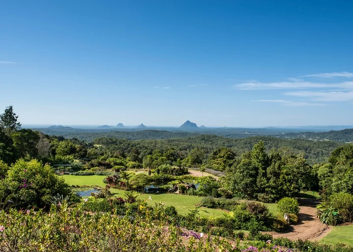 A picturesque garden with majestic mountains in the background, offering a serene view that is perfect for sunshine coast tours and noosa tours.