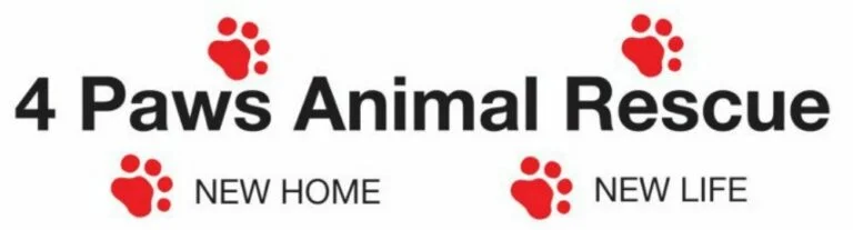 A logo for "4 Paws Animal Rescue" featuring bold black text with four red paw prints. The paw prints are placed at the corners of the text, with the words "NEW HOME" and "NEW LIFE" below two of the paw prints.